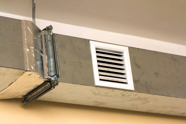 Best Professional Duct Cleaning Services  in Long Lake, MN